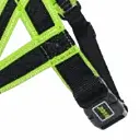 petsouq images (56).webp