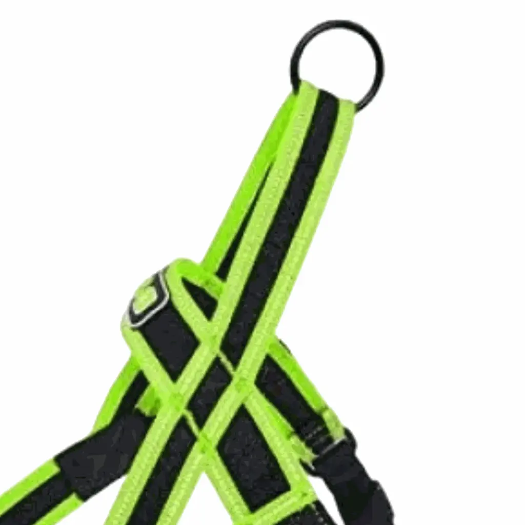 petsouq images (57).webp