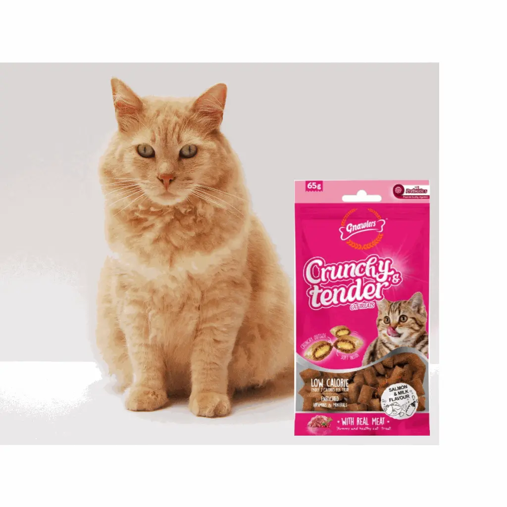 petsouq images (1).webp