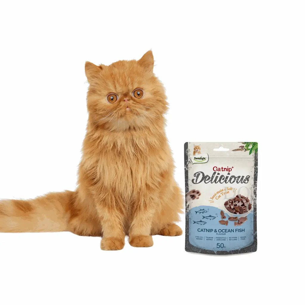 petsouq - 2025-07-22T103212.897.webp