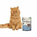 petsouq - 2025-07-22T103212.897.webp