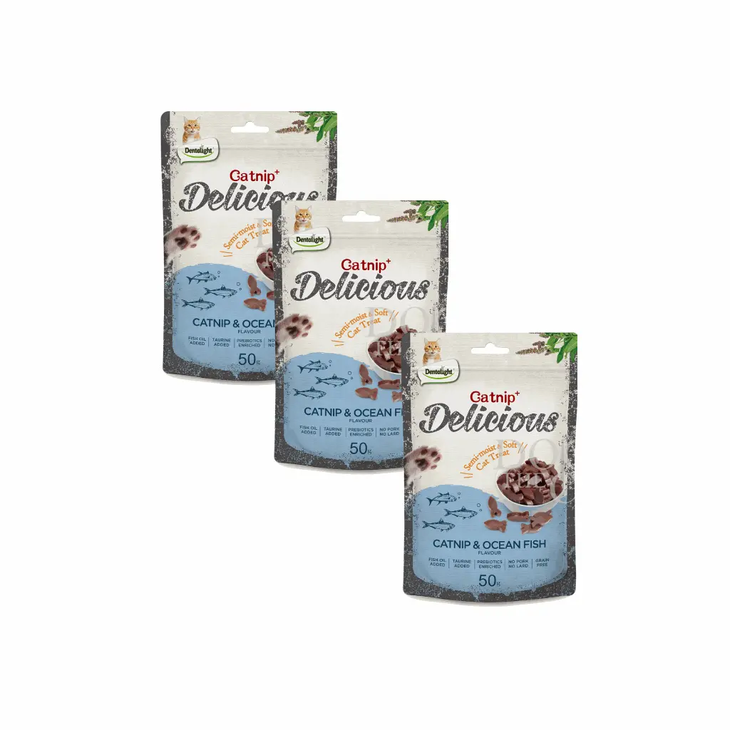 petsouq - 2025-07-22T103326.786.webp