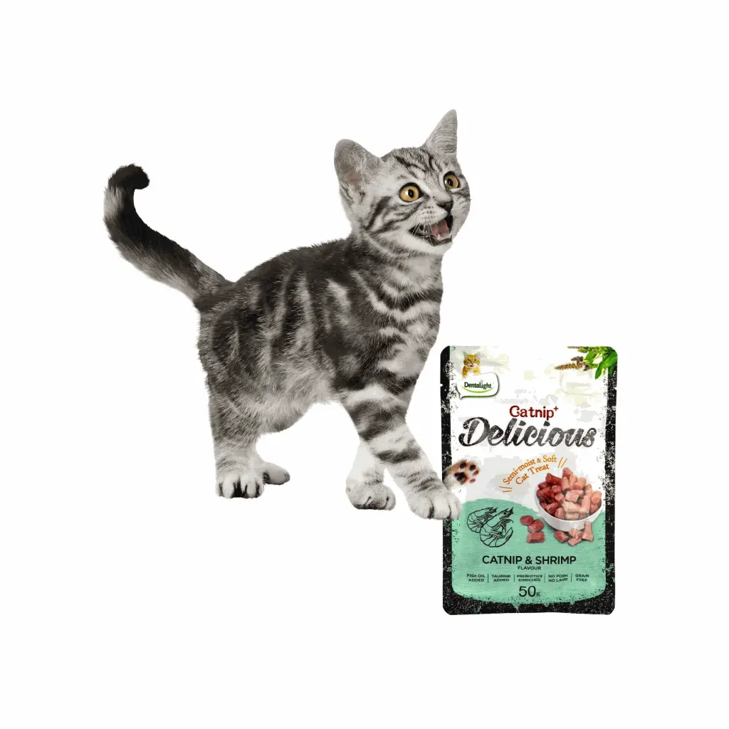 petsouq - 2025-07-22T104814.836.webp