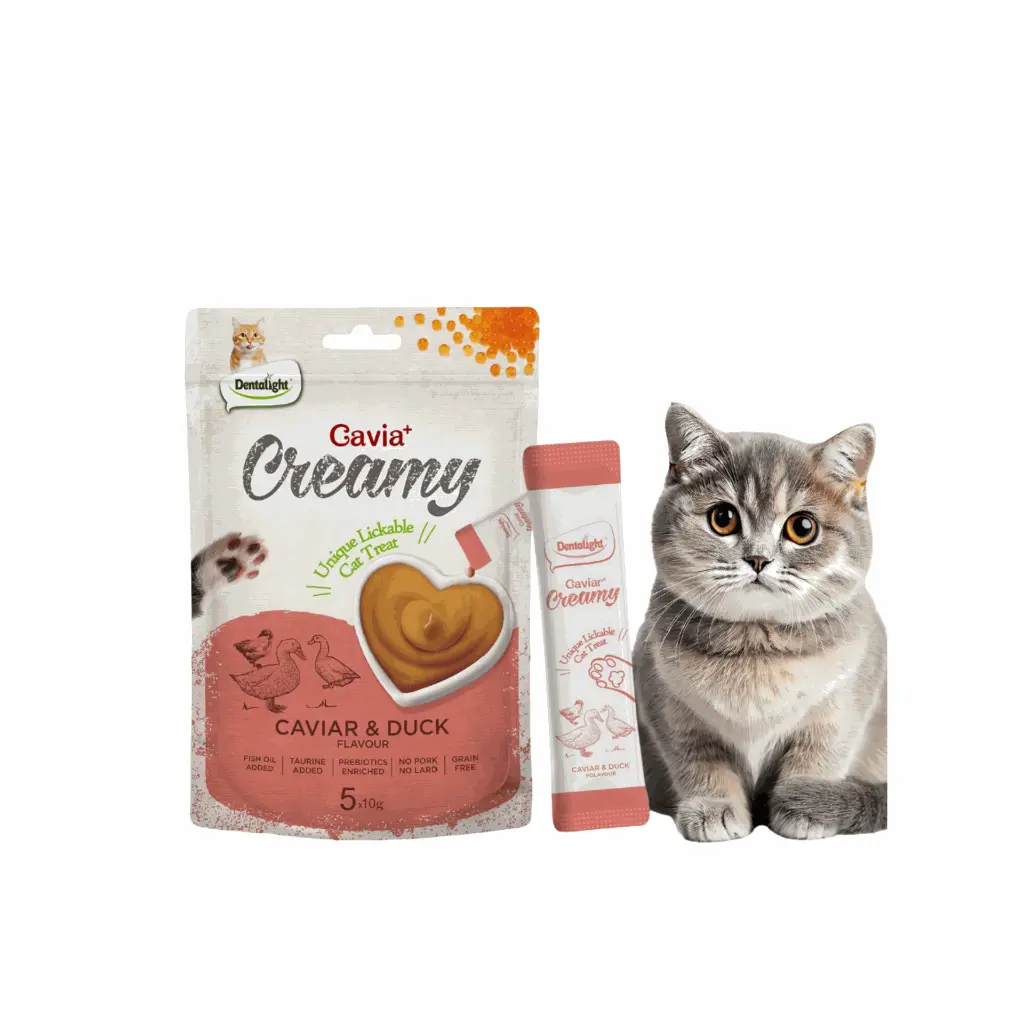 petsouq - 2025-07-22T113419.232.webp
