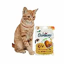 petsouq - 2025-07-22T122008.617.webp