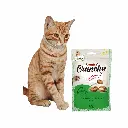 petsouq - 2025-07-22T123216.640.webp