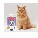 petsouq - 2025-07-22T155559.247.webp