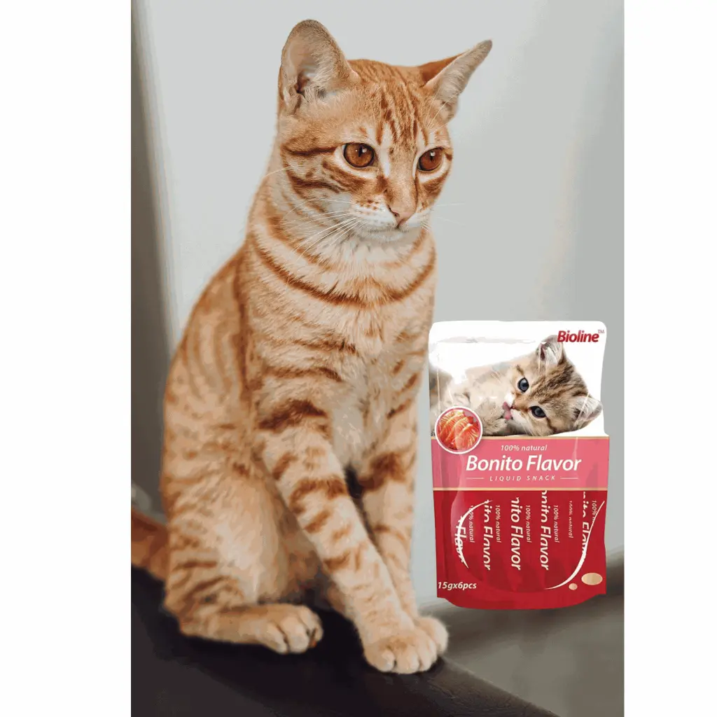 petsouq - 2025-07-22T171905.715.webp