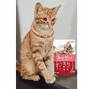 petsouq - 2025-07-22T171905.715.webp