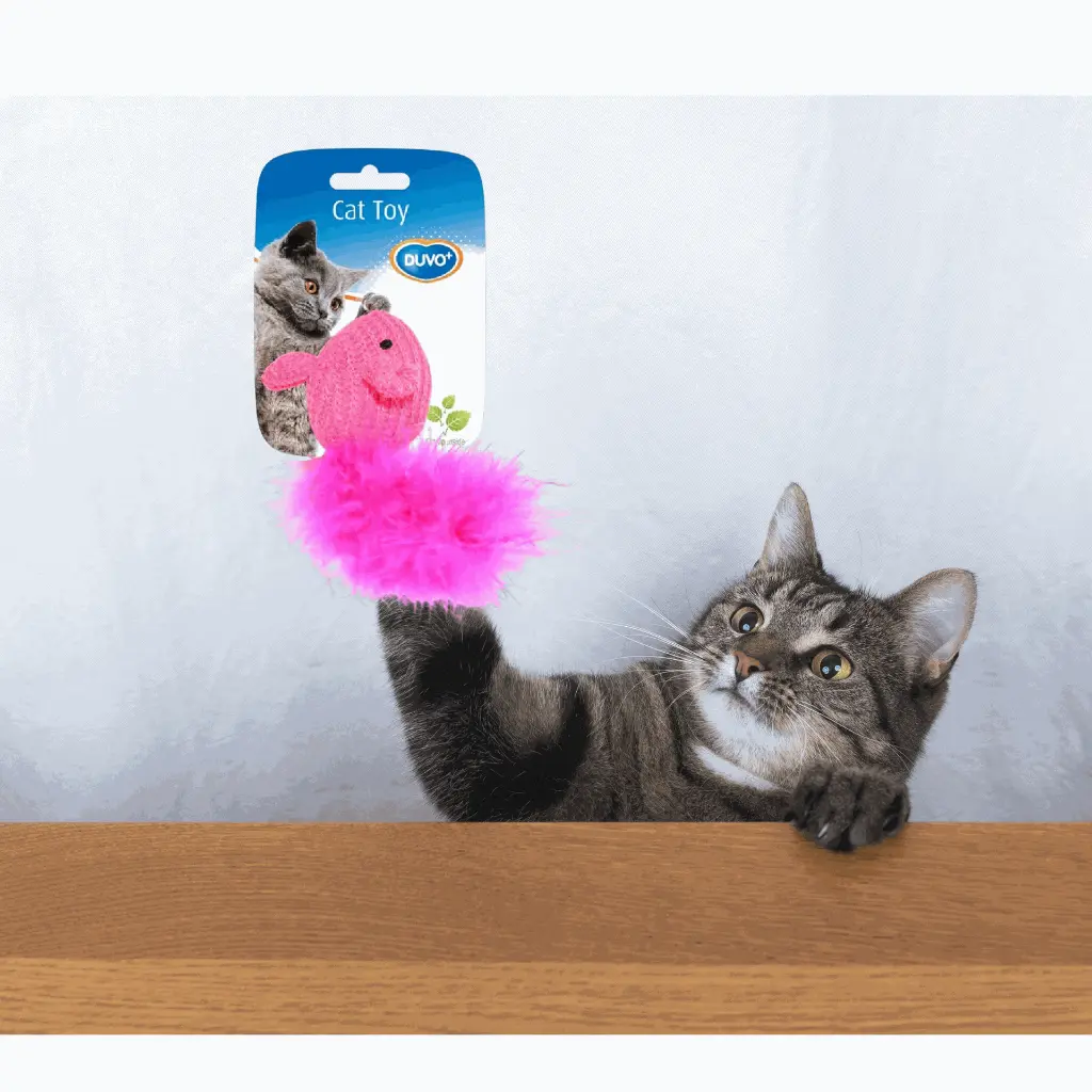 petsouq - 2025-07-23T104155.592.webp