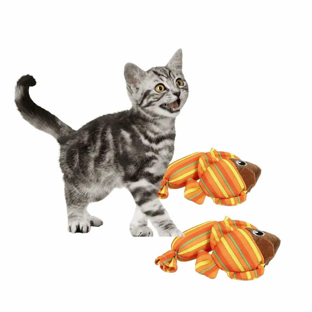 petsouq - 2025-07-23T110559.165.webp