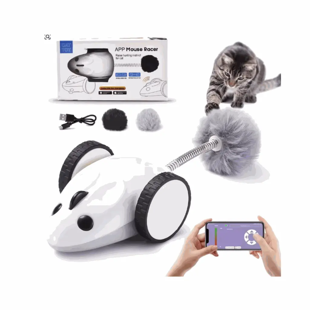 petsouq - 2025-07-23T112523.851.webp