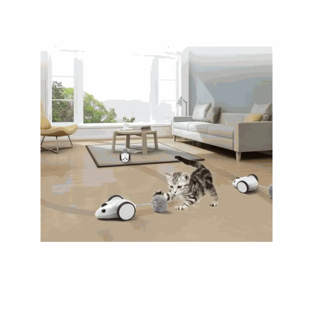 petsouq - 2025-07-23T112946.281.webp