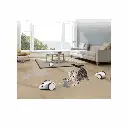 petsouq - 2025-07-23T112946.281.webp