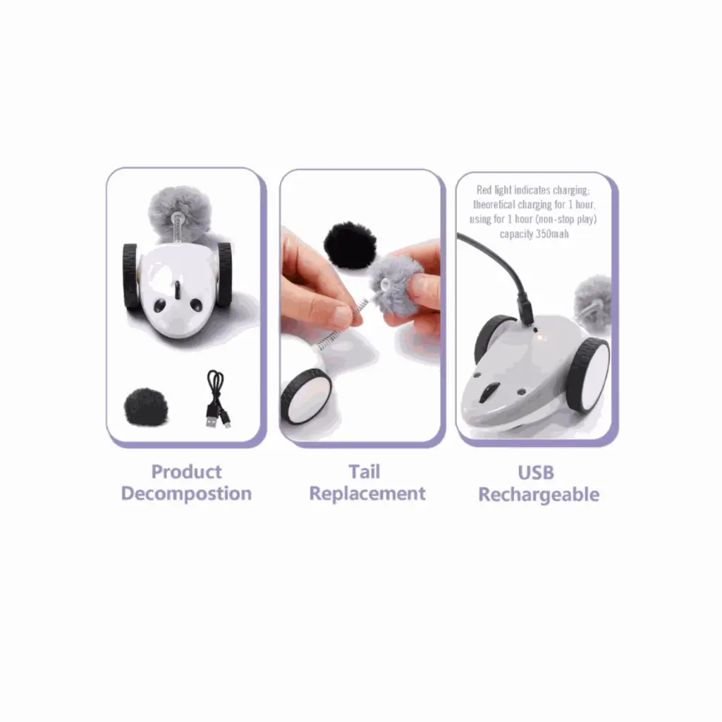 petsouq - 2025-07-23T112920.785.webp