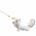 petsouq - 2025-07-23T120124.839.webp