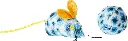 71P-L+rz55S._AC_SL1500_.webp
