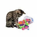 petsouq - 2025-07-23T132339.585.webp