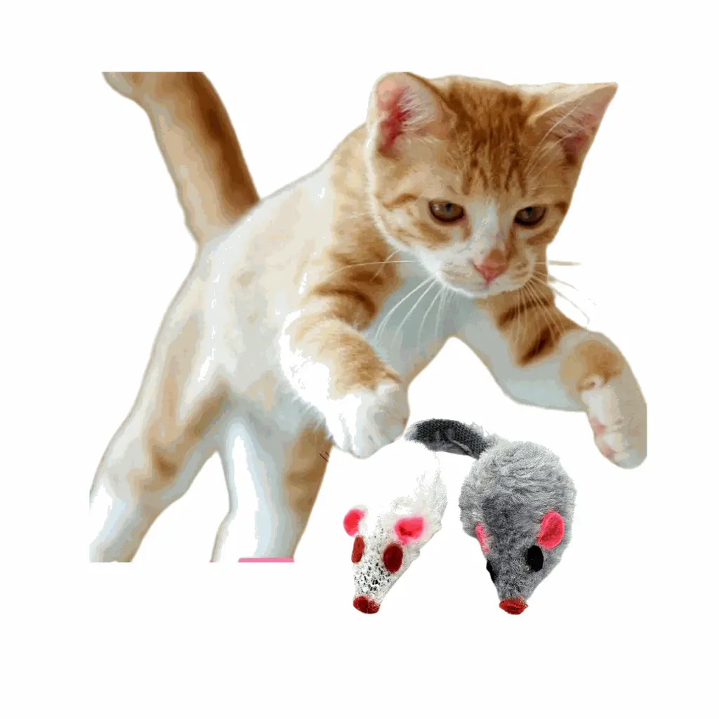 petsouq - 2025-07-23T145842.498.webp