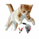 petsouq - 2025-07-23T145842.498.webp