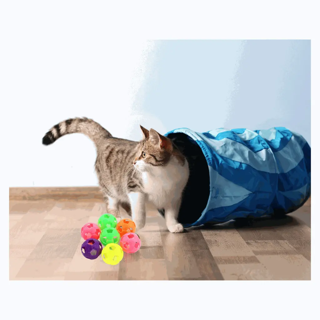 petsouq - 2025-07-23T170951.614.webp