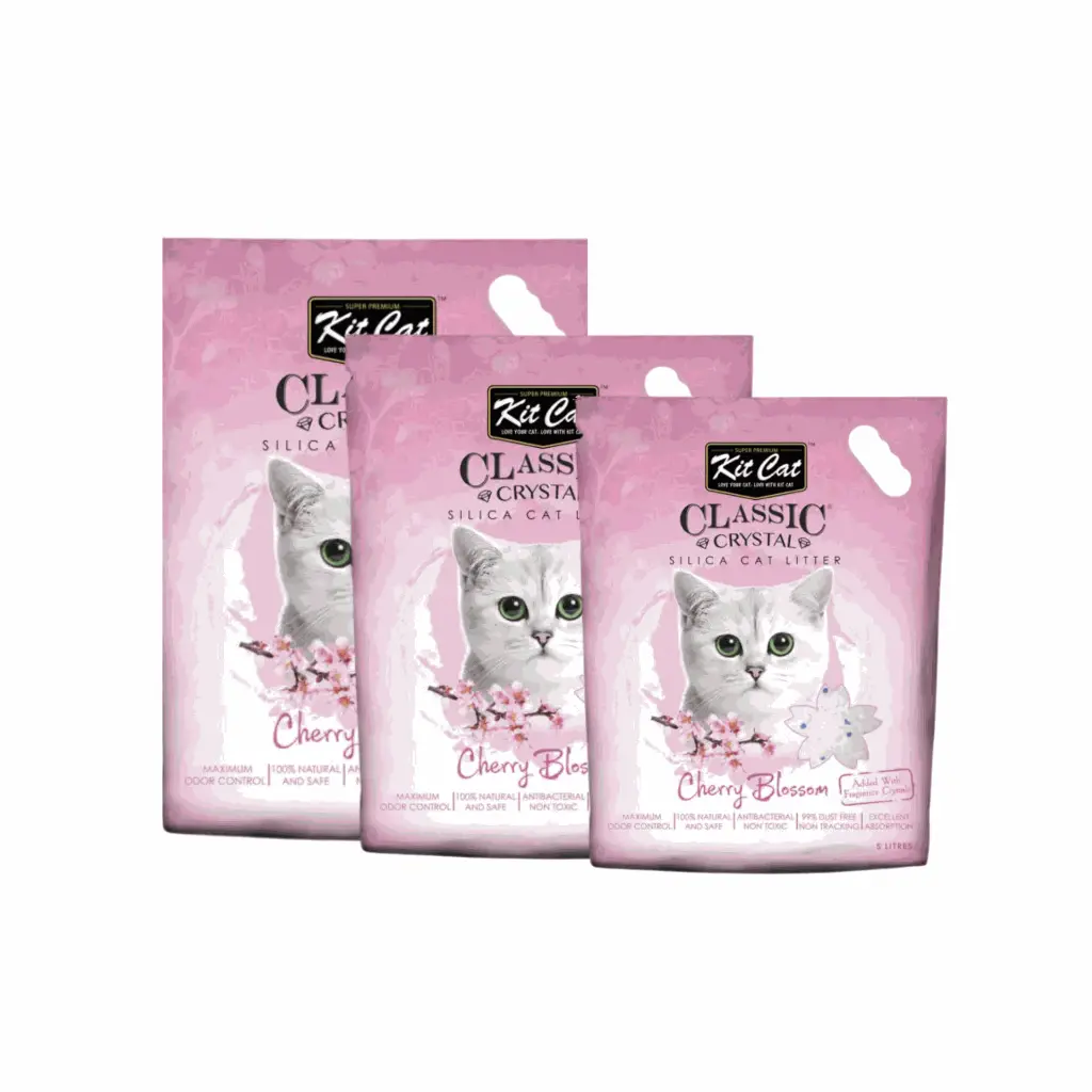petsouq - 2025-07-24T114804.842.webp