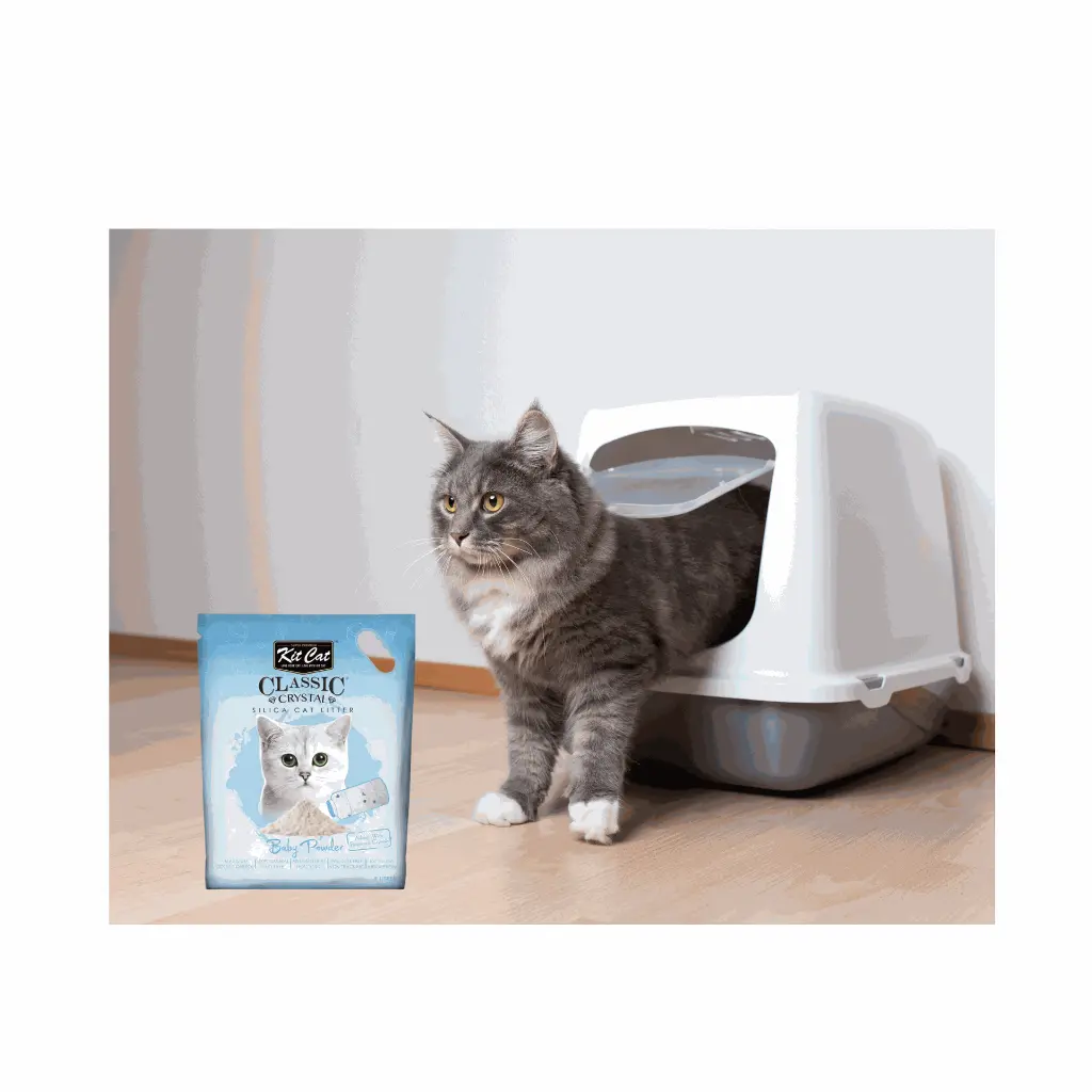 petsouq images (4).webp