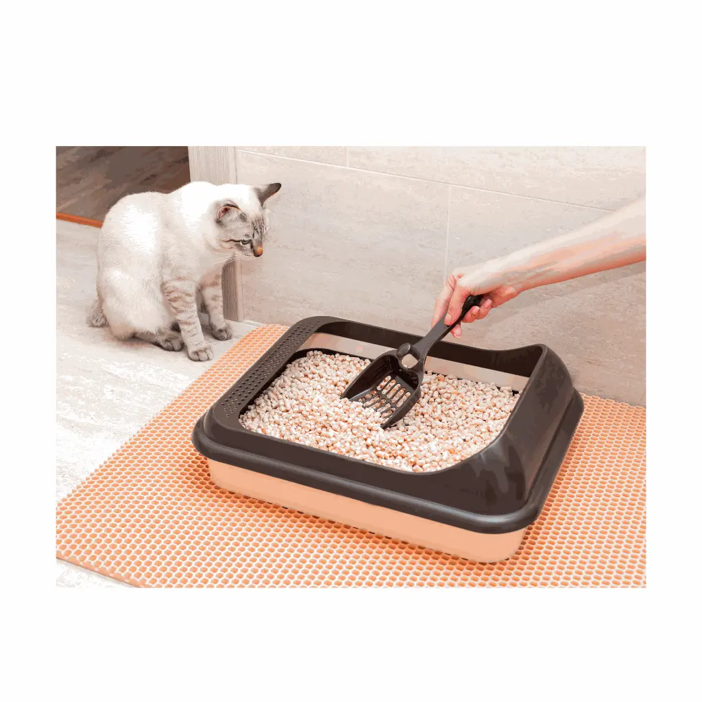 petsouq images (12).webp