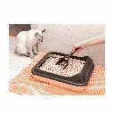 petsouq images (12).webp