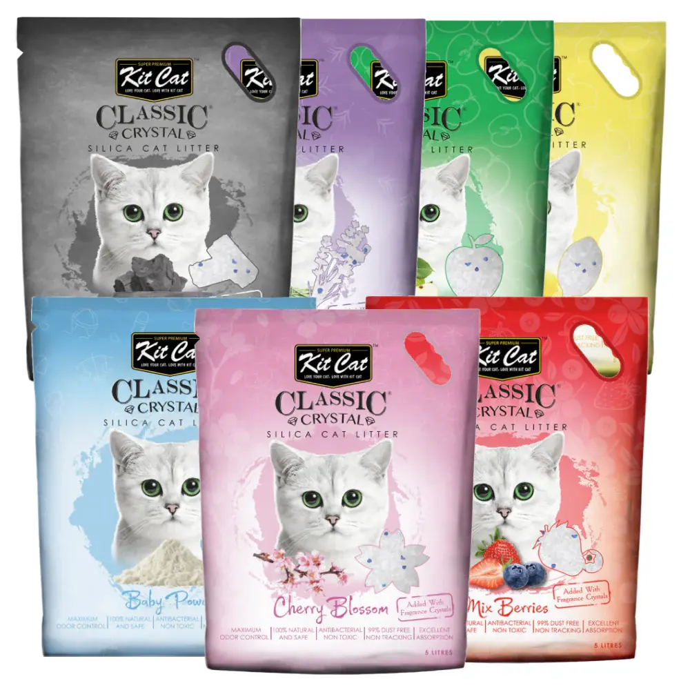 NewProject-2024-10-11T135337.388 (1).webp