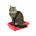 petsouq images (20).webp