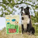 petsouq - 2025-07-24T152017.305.webp