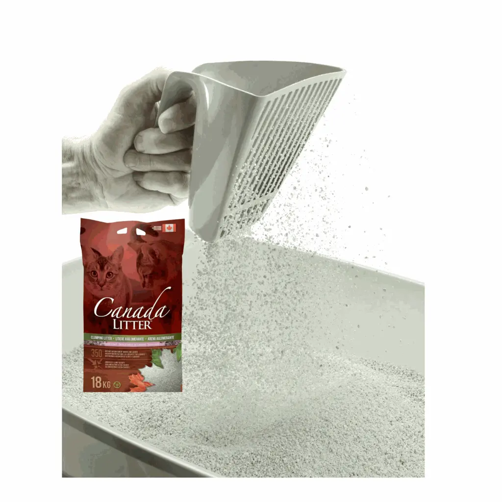 petsouq images (42).webp