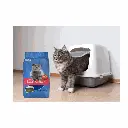 petsouq images (63).webp