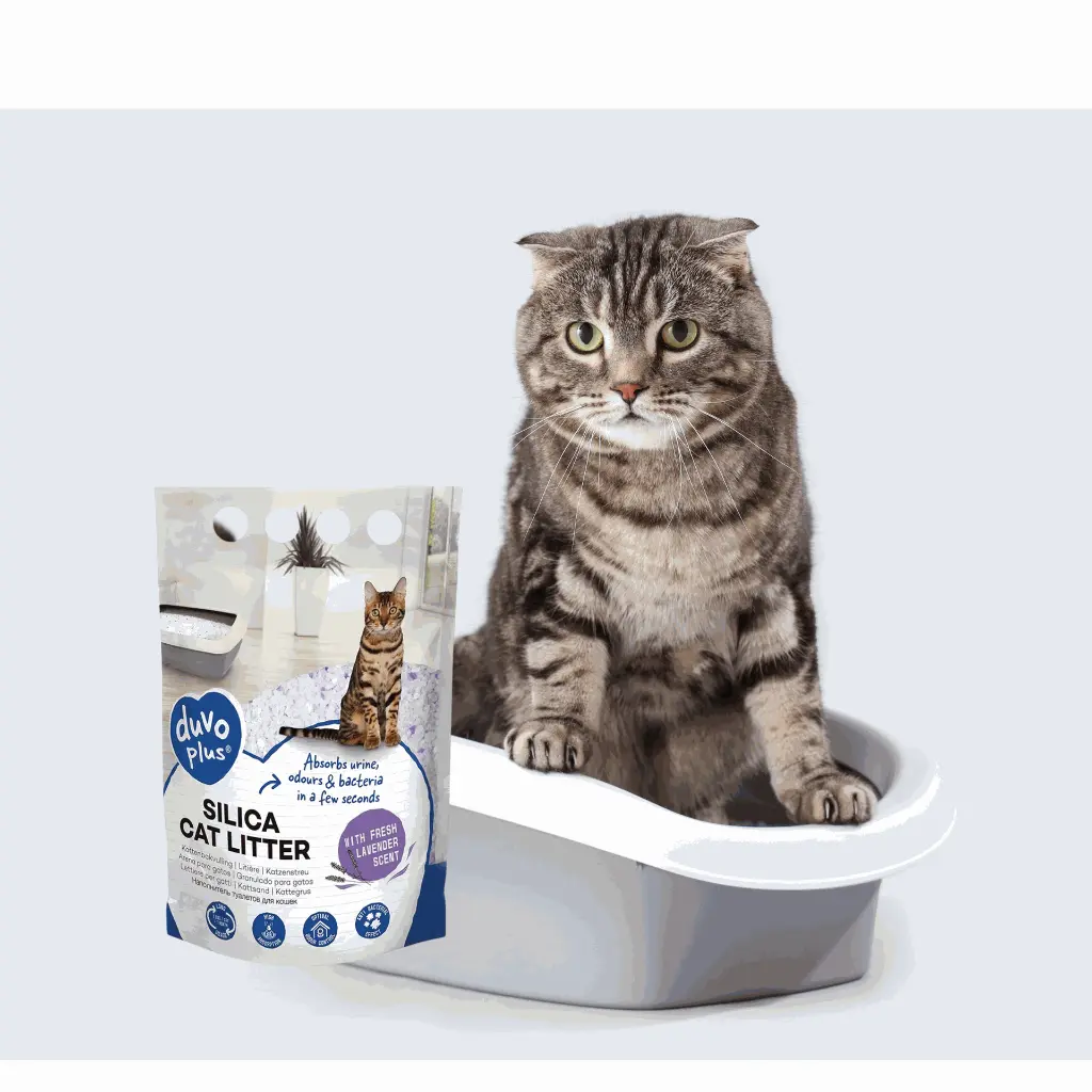 petsouq images (72).webp