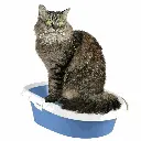 petsouq images (76).webp