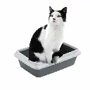 petsouq images (80).webp