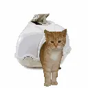 petsouq images - 2025-07-26T151505.446.webp