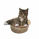 petsouq images - 2025-07-28T094051.554.webp