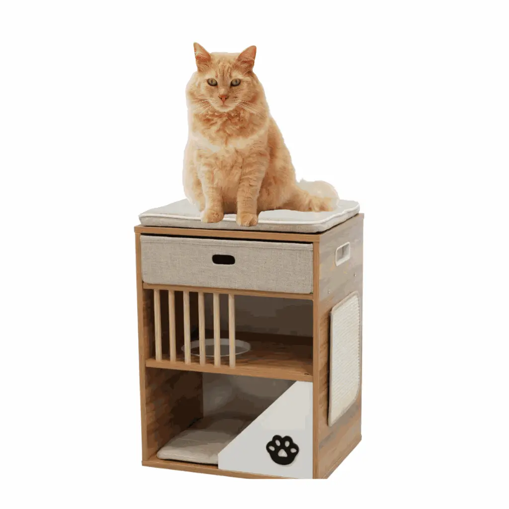 petsouq - 2025-07-28T122749.420.webp