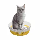 petsouq - 2025-07-28T123632.163.webp