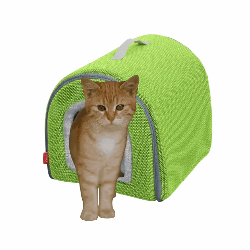 petsouq - 2025-07-28T135827.583.webp