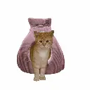 petsouq - 2025-07-28T152130.434.webp