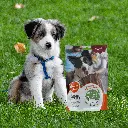 petsouq - 2025-07-28T155600.136.webp