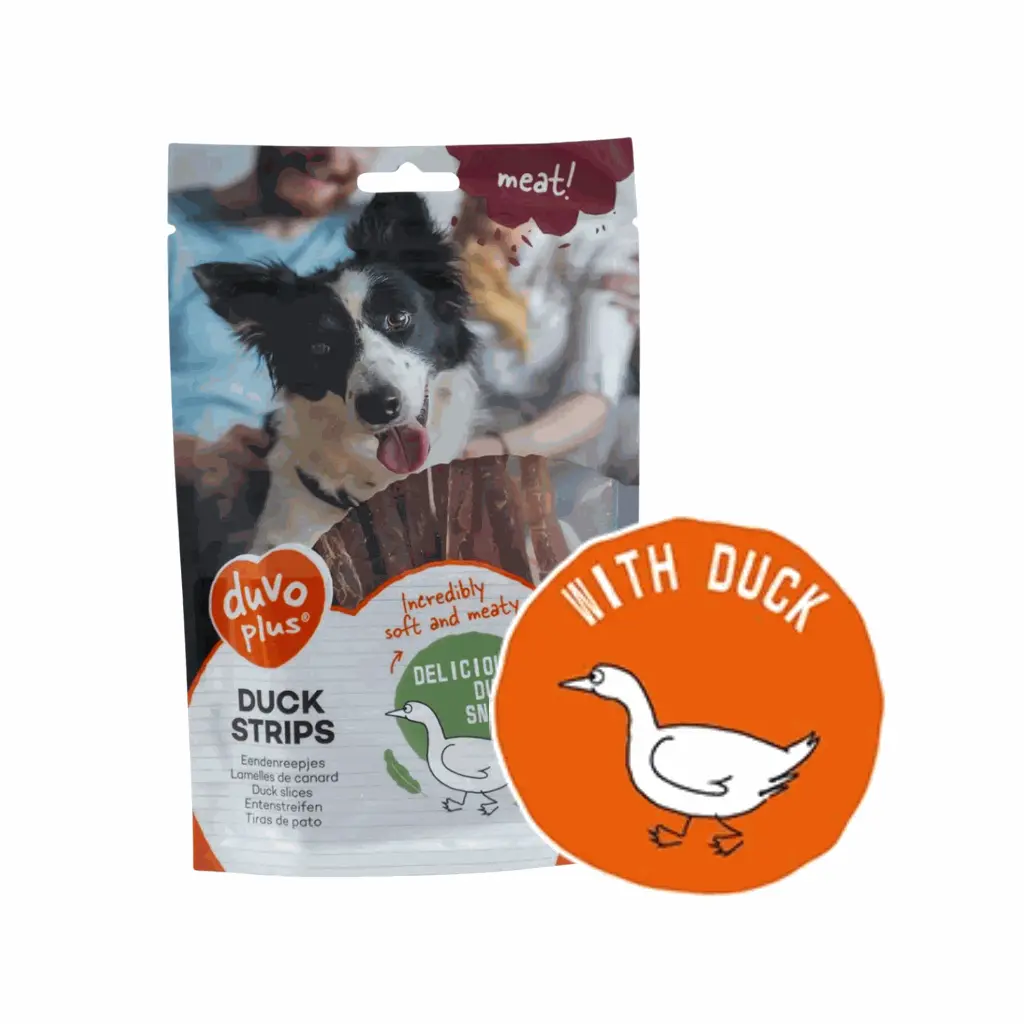 petsouq - 2025-07-28T155640.160.webp