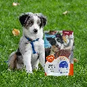 petsouq - 2025-07-28T160438.898.webp
