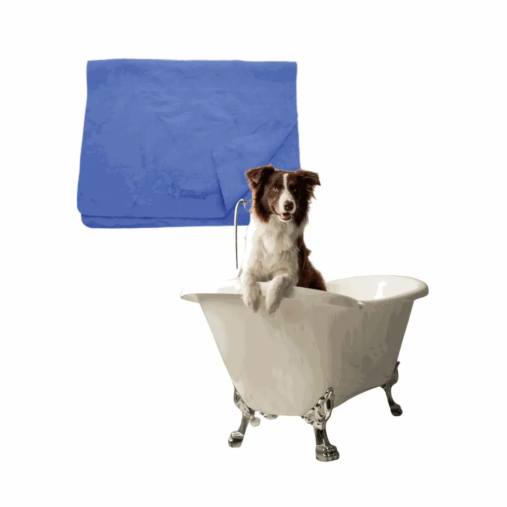 petsouq - 2025-07-29T103302.587.webp