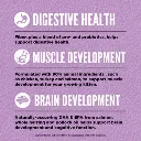 ORI_20Kitten_20PDP-5 (1).webp