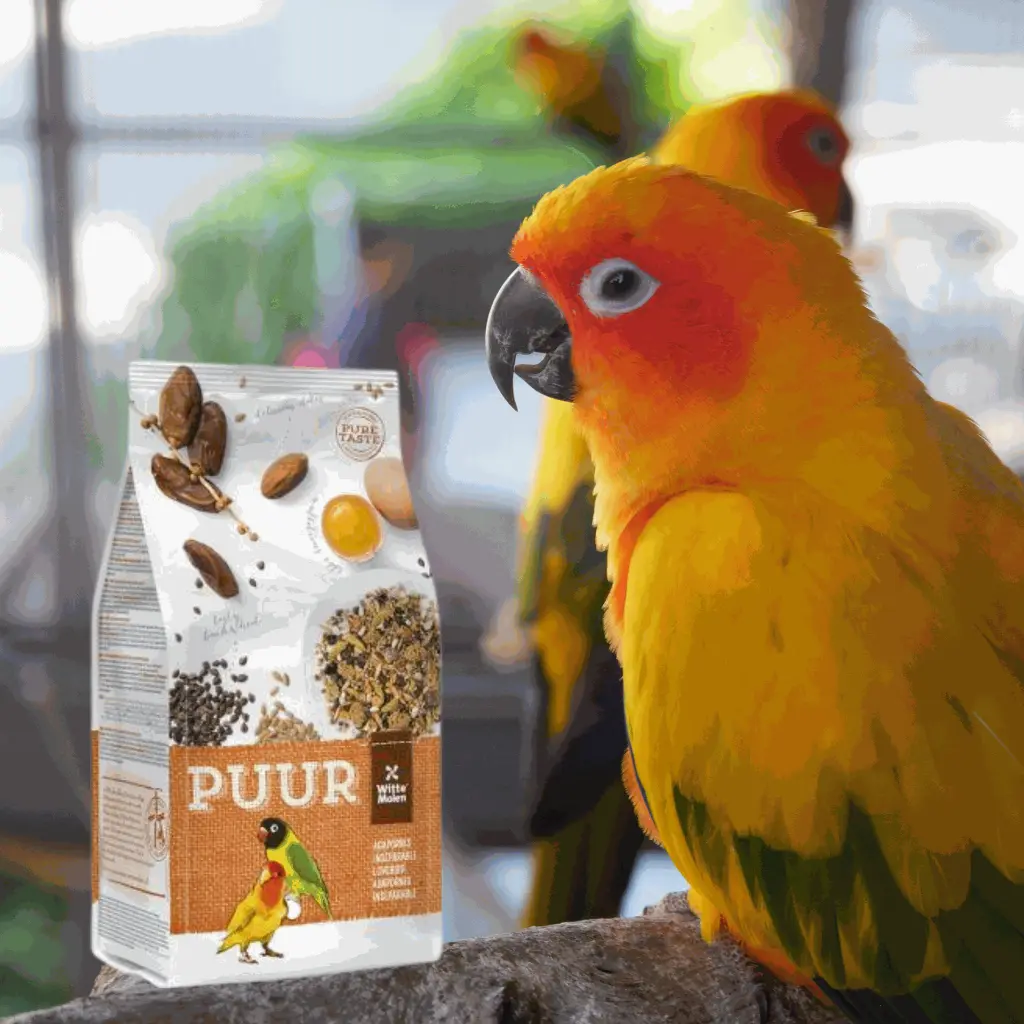 petsouq images (94).webp