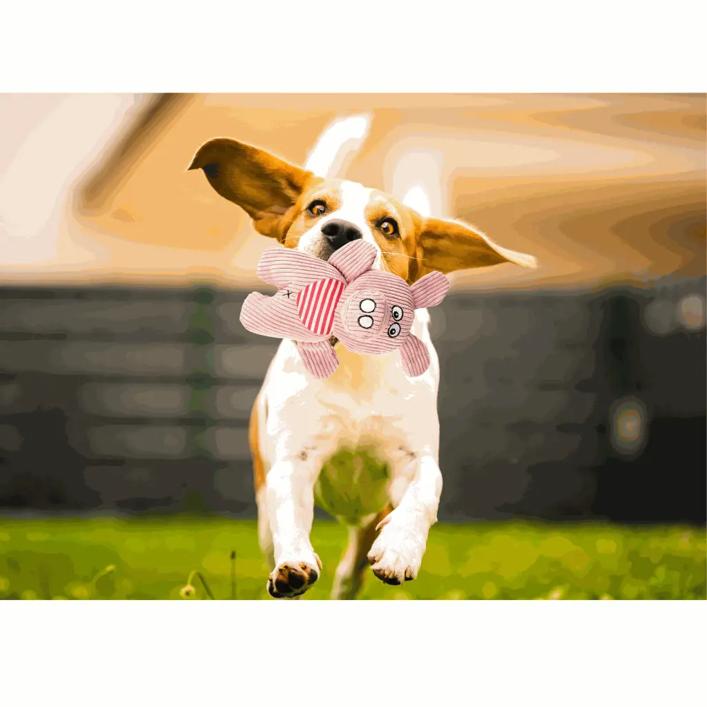 petsouq - 2025-07-29T165334.732.webp